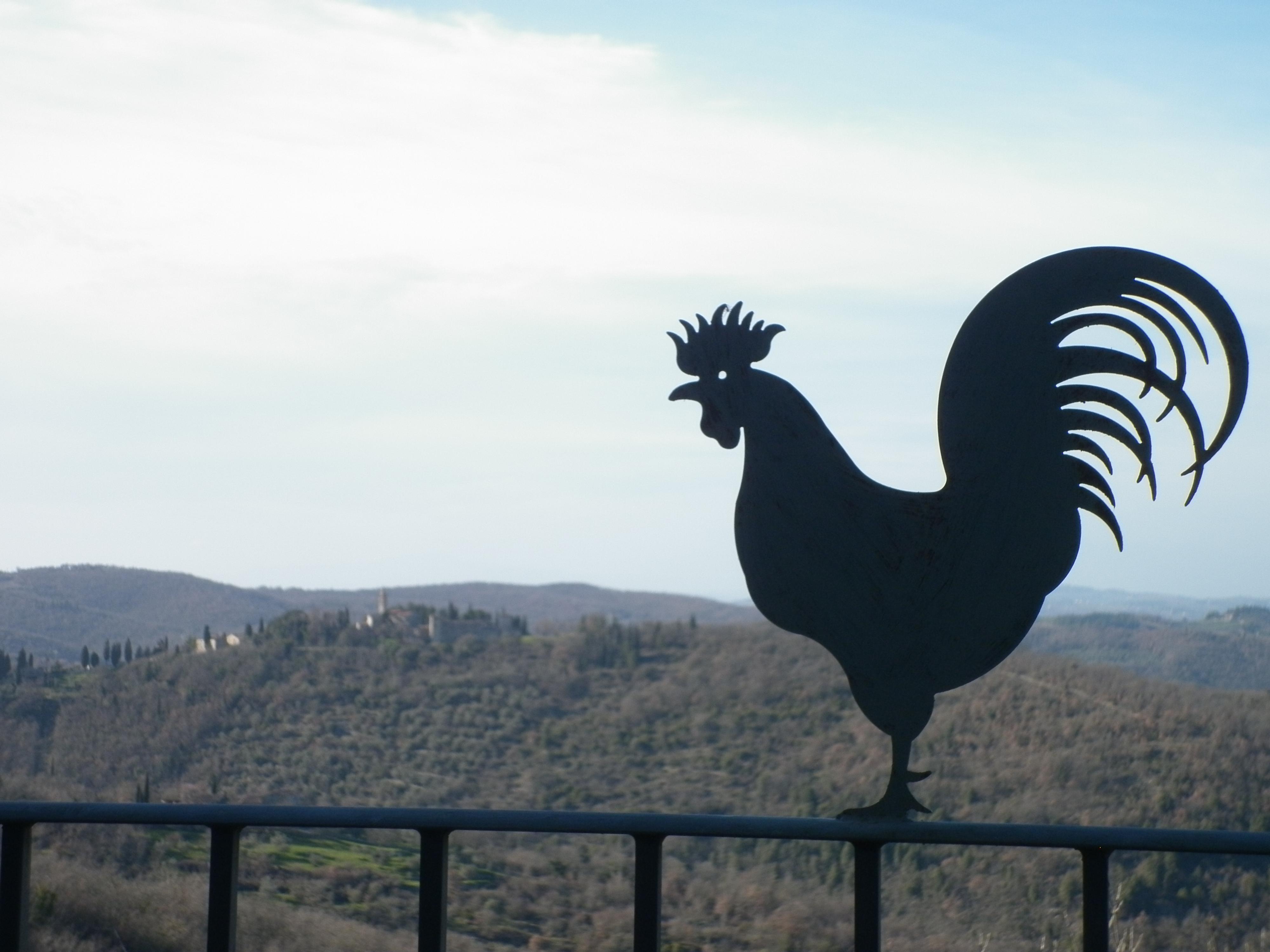 Villa Sant'Uberto Country Inn Radda in Chianti Exteriör bild